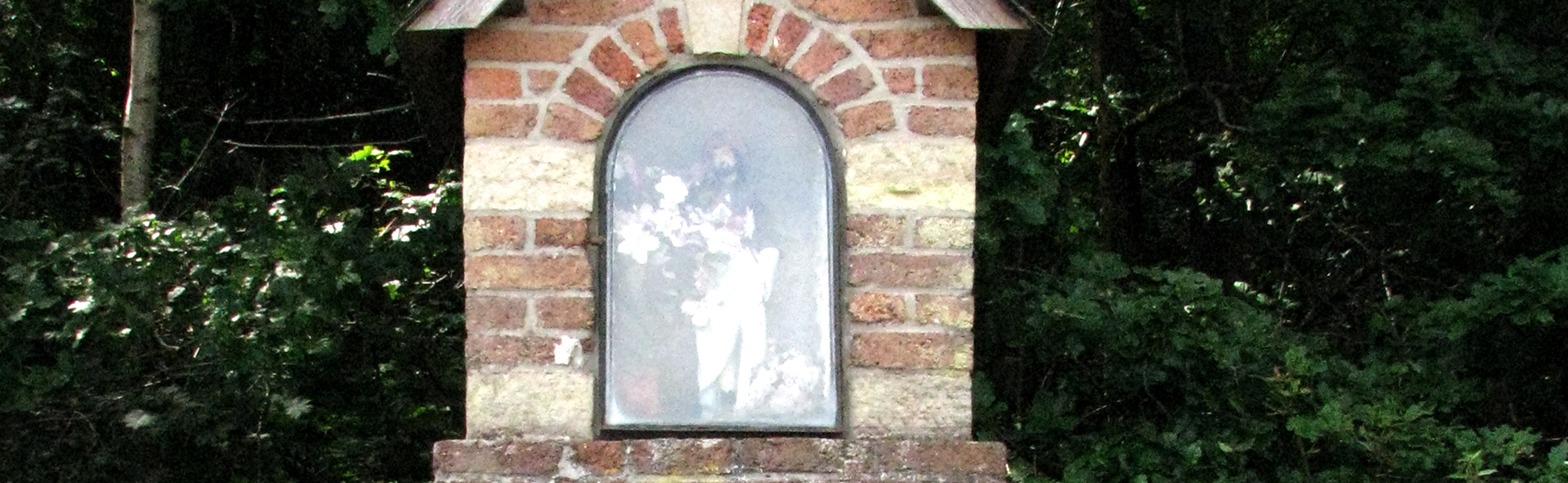 feature-image
